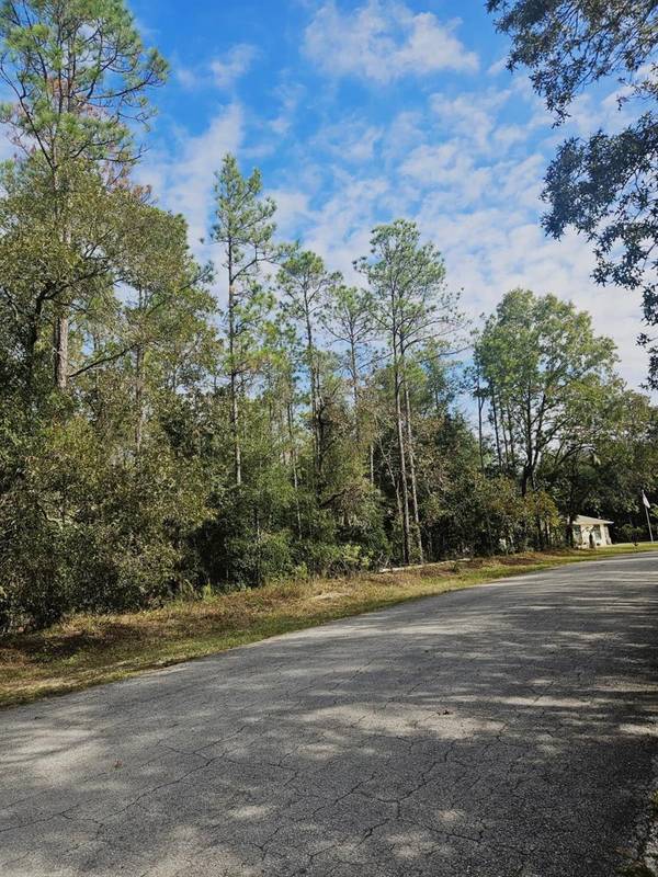 SOUTHWEST 206TH COURT RD, Dunnellon, FL 34431