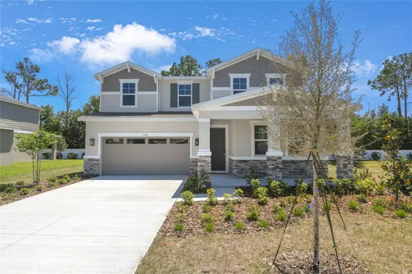 3716 DEER RIDGE DR, Mount Dora, FL 32757