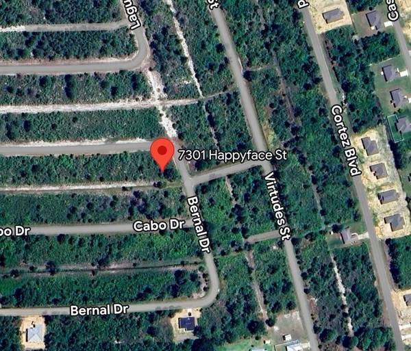 7301 HAPPYFACE ST, Sebring, FL 33872