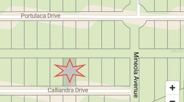 510 CALLIANDRA DR, Indian Lake Estates, FL 33855