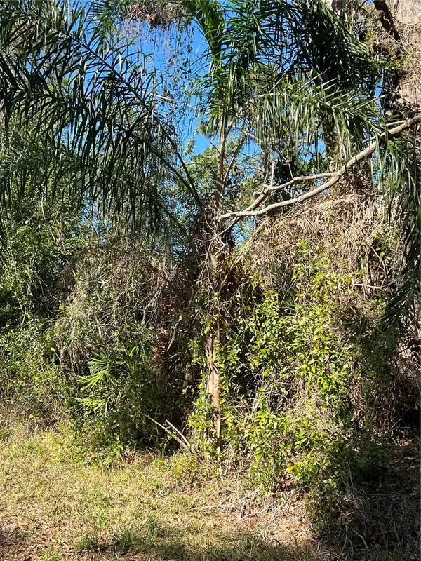 510 CALLIANDRA DR, Indian Lake Estates, FL 33855