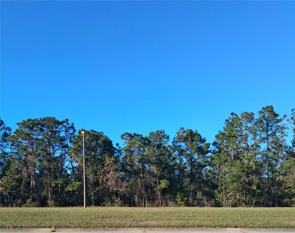 INTERNATIONAL DR S, Orlando, FL 32821