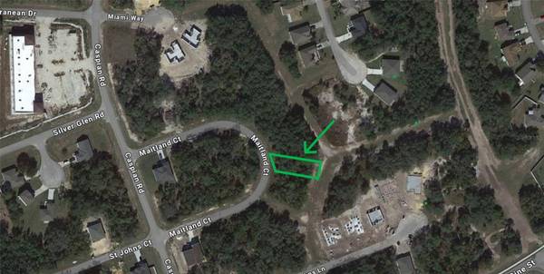 419 MAITLAND CT, Kissimmee, FL 34759