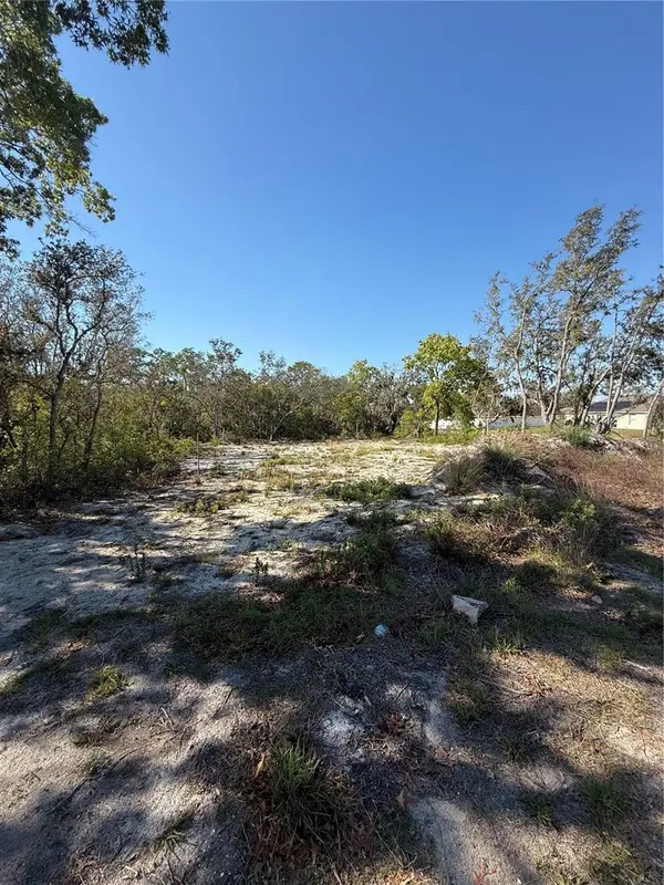 449 NAPLES CT, Kissimmee, FL 34759