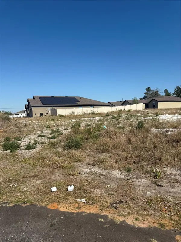17 LARCH LN, Kissimmee, FL 34759