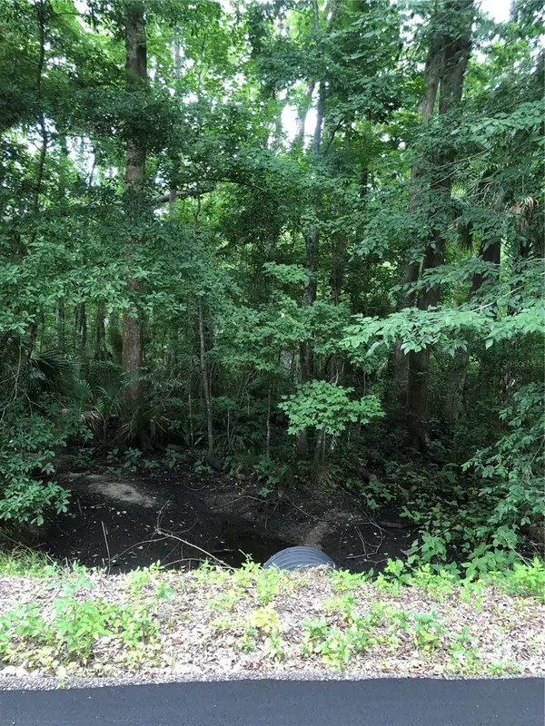 KEEFER TRL, Kissimmee, FL 34747