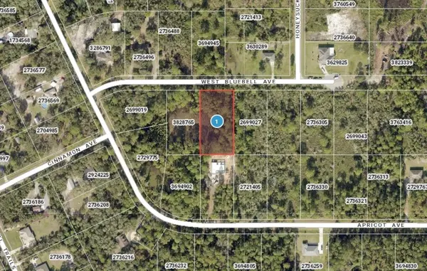 00 W BLUEBELL AVE, Eustis, FL 32736
