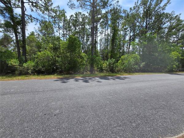 00 W BLUEBELL AVE, Eustis, FL 32736