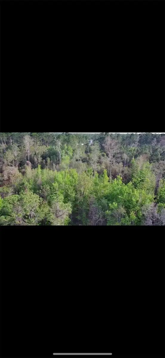 4150 QUAIL NEST LN, New Smyrna Beach, FL 32168