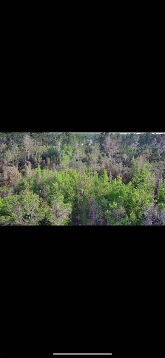 4150 QUAIL NEST LN, New Smyrna Beach, FL 32168