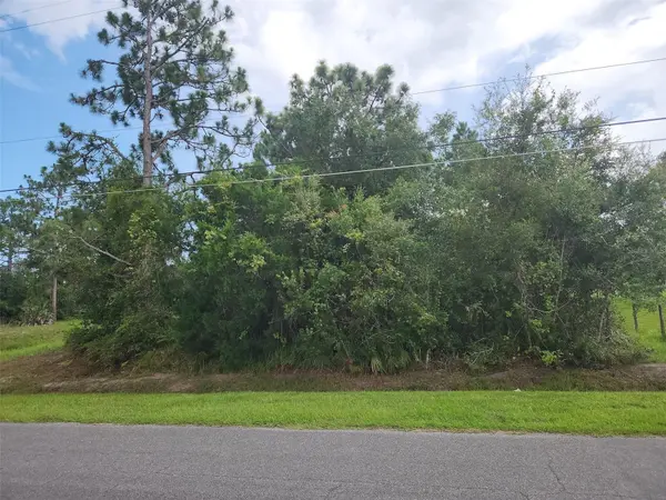 RALSTON ST, Orlando, FL 32833