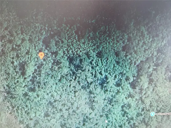 HOLOPAW GROVES RD, St Cloud, FL 34771