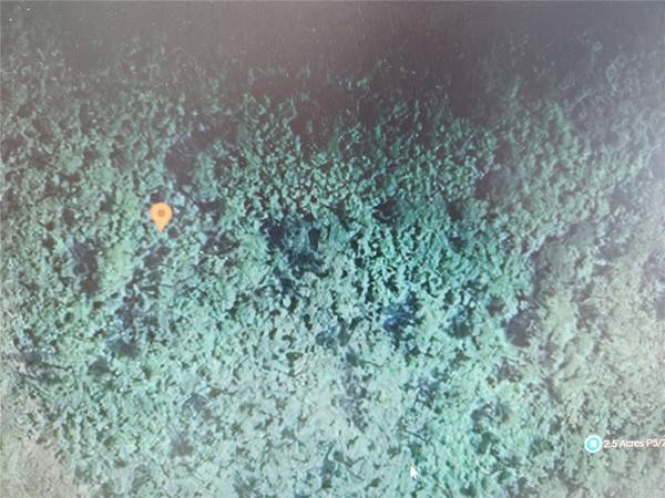 HOLOPAW GROVES RD, St Cloud, FL 34771