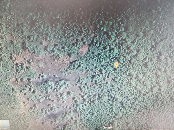 HOLOPAW GROVES RD, St Cloud, FL 34771