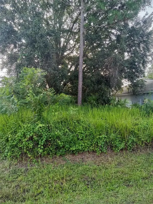 MARICOPA DR, Kissimmee, FL 34758