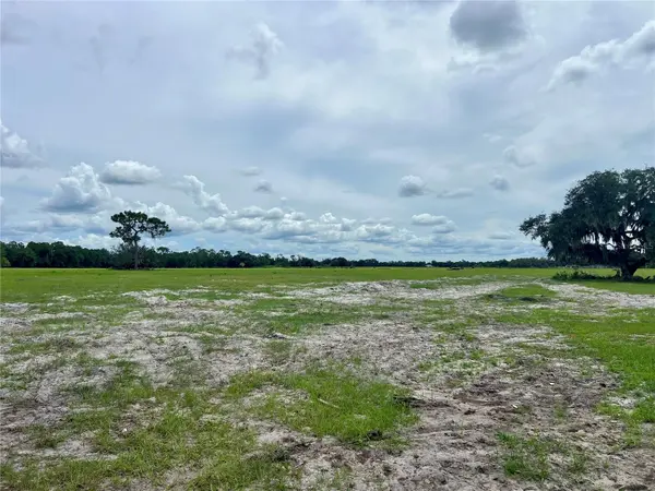 ALTURAS BABSON PARK CUT-OFF, Bartow, FL 33830