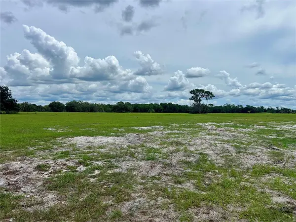 ALTURAS BABSON PARK CUT-OFF, Bartow, FL 33830
