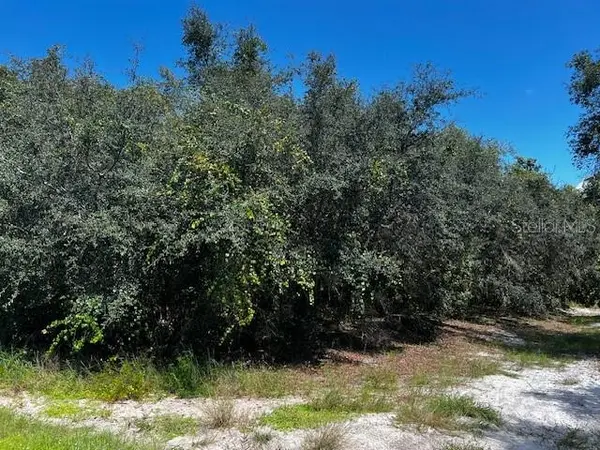 1229 BALTIC DR, Poinciana, FL 34759