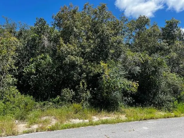 1229 BALTIC DR, Poinciana, FL 34759