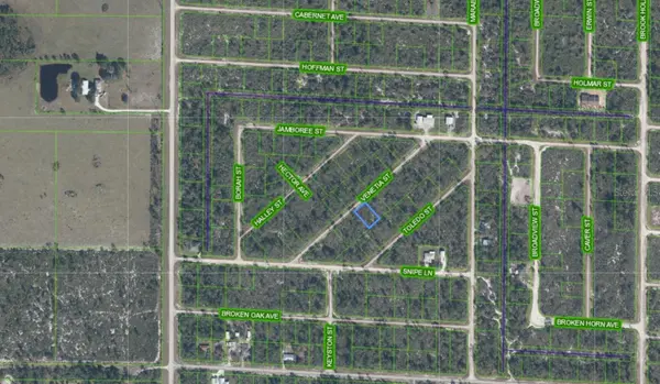 3535 VENETIA ST, Lake Placid, FL 33852