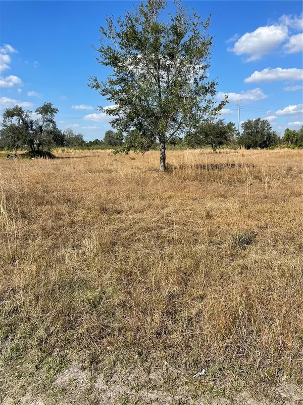 HAMMERMILL AVE, Lake Wales, FL 33859