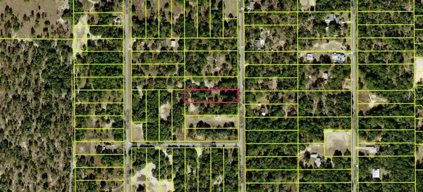 SW 207TH CT, Dunnellon, FL 34431