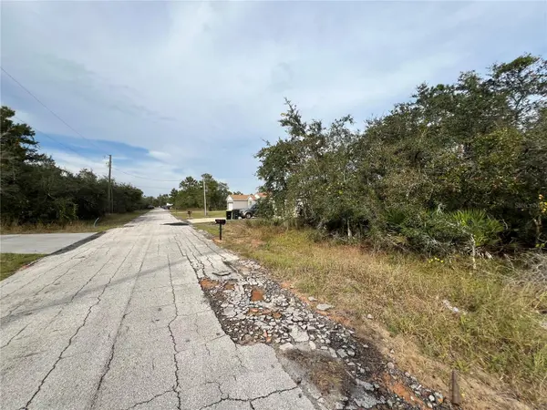 1205 ALAFIA WAY, Kissimmee, FL 34759