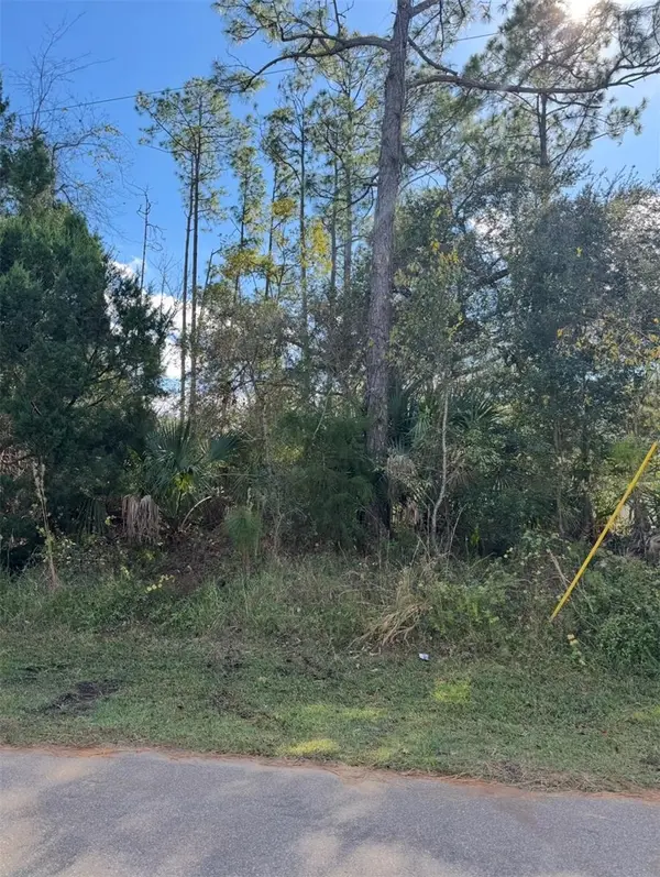 38 SLEEPY HOLLOW TRL, Palm Coast, FL 32164