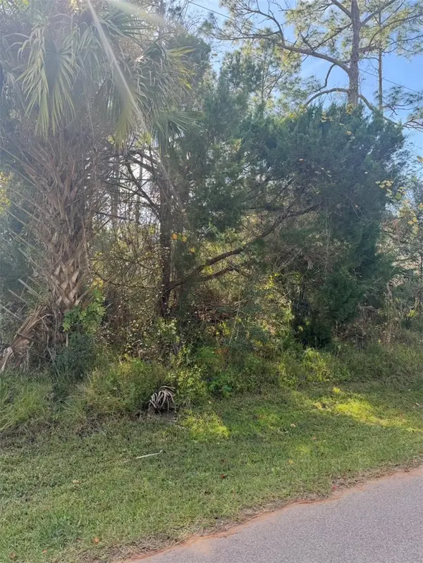 38 SLEEPY HOLLOW TRL, Palm Coast, FL 32164