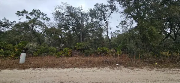 SW 155TH ST, Dunnellon, FL 34432