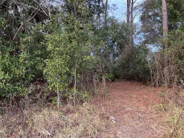 Lots 17 & 18 NW 20TH ST, Ocala, FL 34482