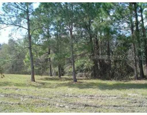 Address not disclosed, Zephyrhills, FL 33544
