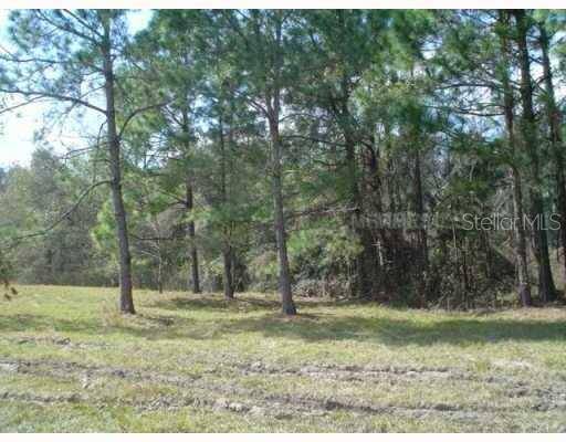 Address not disclosed, Zephyrhills, FL 33544
