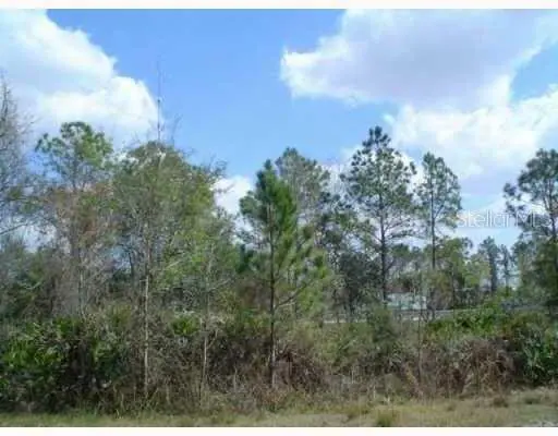 Address not disclosed, Zephyrhills, FL 33544