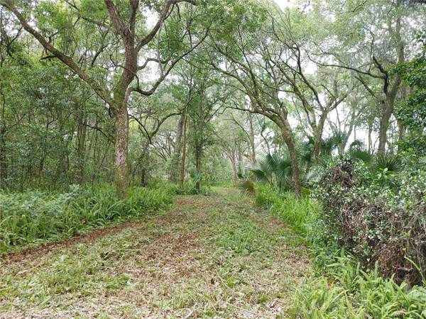 7819 E ELM ST, Tampa, FL 33610