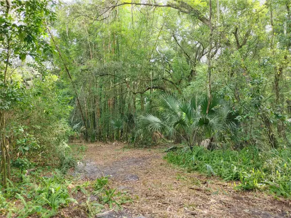 7819 E ELM ST, Tampa, FL 33610