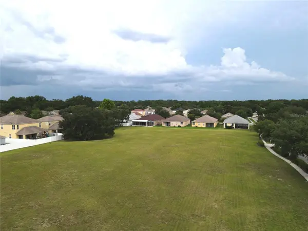 1035 NASHVILLE DR, Wesley Chapel, FL 33544