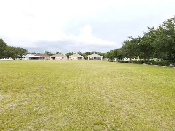 1035 NASHVILLE DR, Wesley Chapel, FL 33544