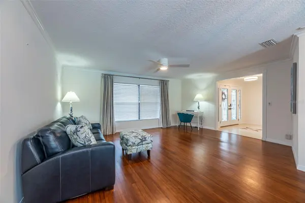 910 CHIPAWAY DR, Apollo Beach, FL 33572