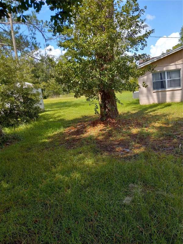 2902 W LUTZ LAKE FERN RD, Lutz, FL 33558