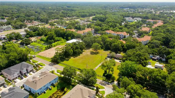 12853 OLIVE JONES RD, Tampa, FL 33625
