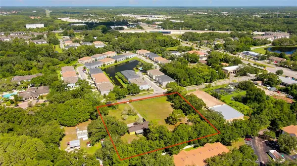 12853 OLIVE JONES RD, Tampa, FL 33625