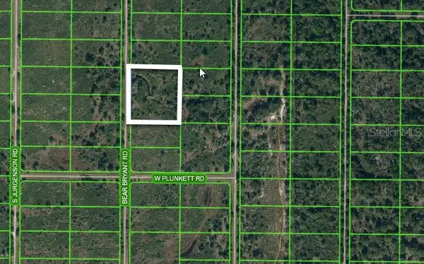 1859 BEAR BRYANT RD, Avon Park, FL 33825