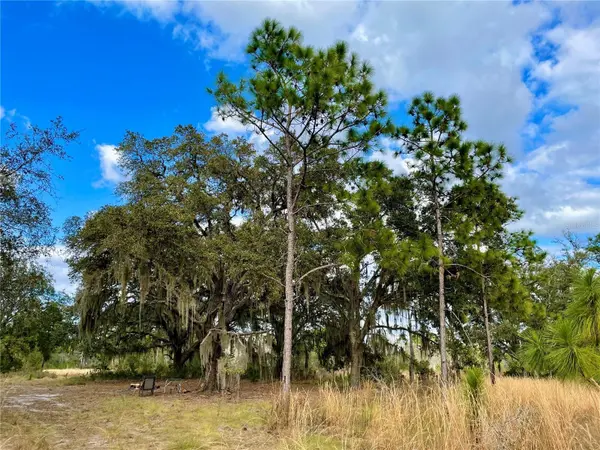 19858 STATE ROAD 52, Land O Lakes, FL 34637