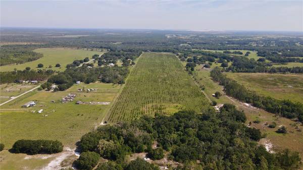 Address not disclosed, Lithia, FL 33547