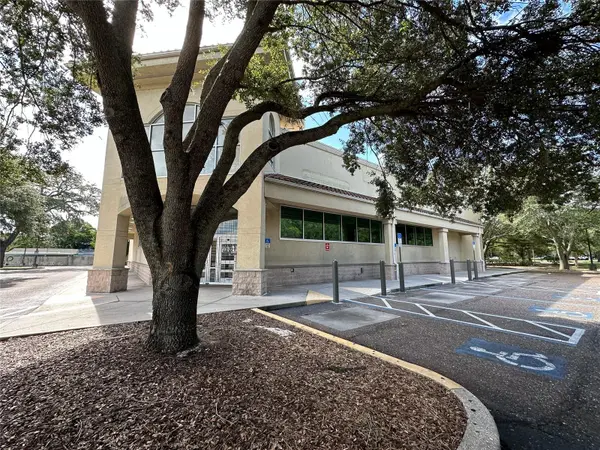 3917 N NEBRASKA AVE, Tampa, FL 33603