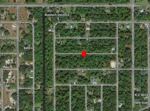20217 WINKLER AVE, Port Charlotte, FL 33954