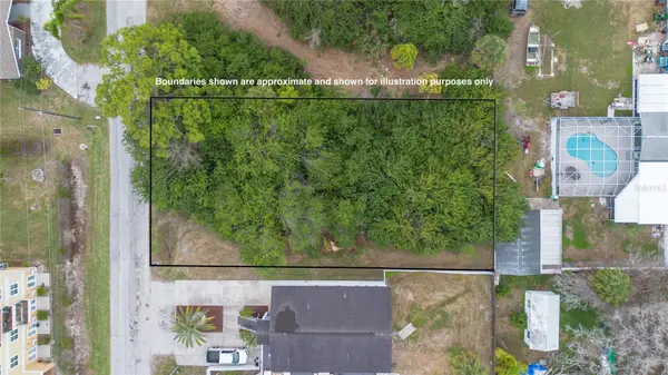 6317 OELSNER ST, New Port Richey, FL 34652