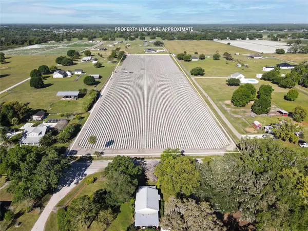 3811 OLD MULBERRY RD, Plant City, FL 33567