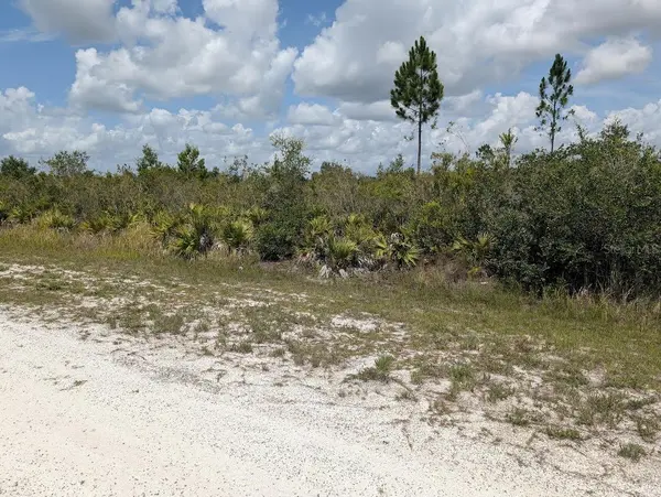 ST PETERSBURG DR, Indian Lake Estates, FL 33855